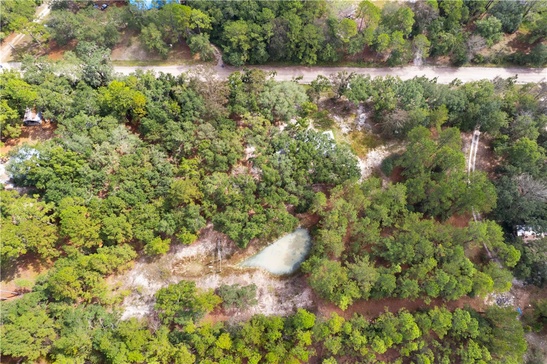 68 Amber Drive Waverly, GA 31565 - Photo 10 of 39