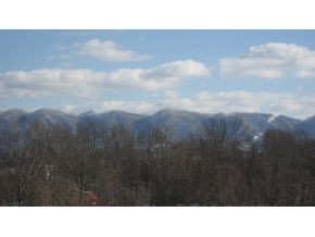 1006 Mill Springs Road Jonesborough, TN 37659 - Photo 8 of 8 Views from front porch