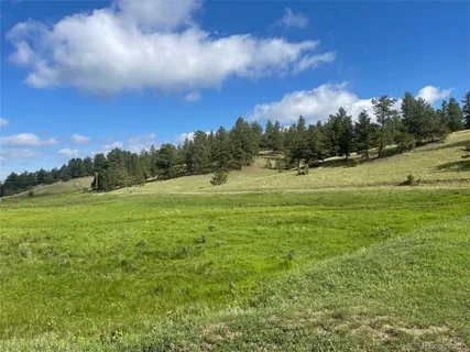 a view of field with trees in the background