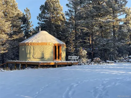 a large tree in the middle of a yard