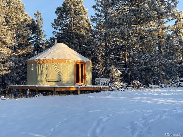 a large tree in the middle of a yard