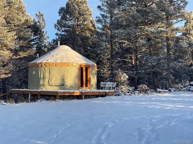 a large tree in the middle of a yard
