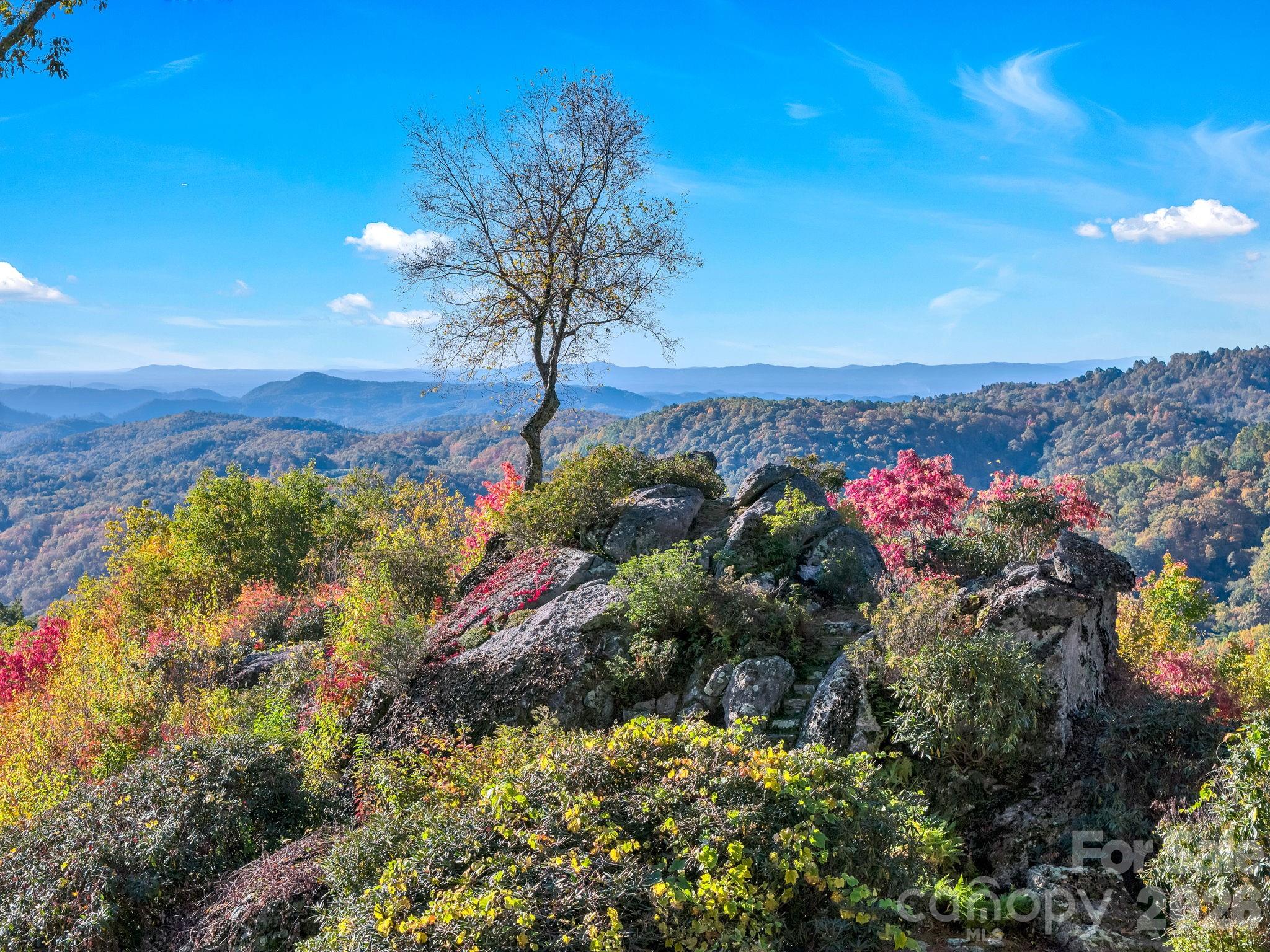 933 Thunder Ridge Lane, Unit 4 & 2 Lenoir, NC 28645 - Photo 2 of 45 a view of a pathway with a tree in the background