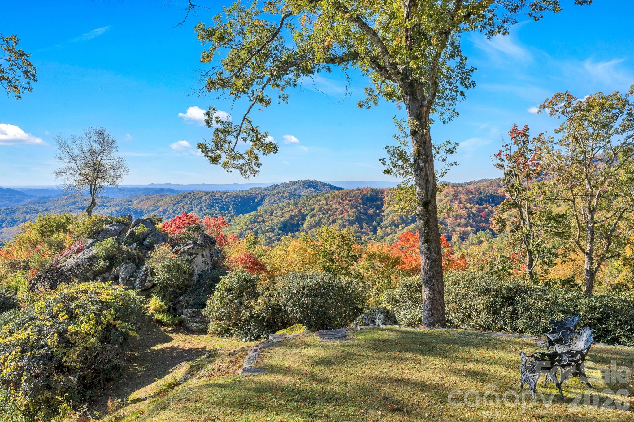 933 Thunder Ridge Lane, Unit 4 & 2 Lenoir, NC 28645 - Photo 7 of 45 a view of a yard with a tree