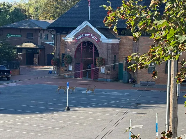 $899,900 | 127 Main Street, Otsego, NY 13326