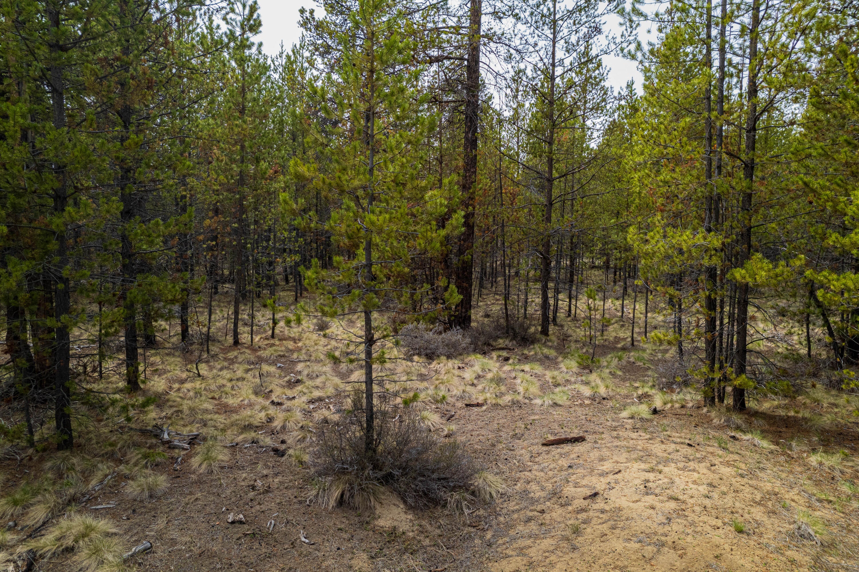 54970 Roundtree Lane Bend, OR 97707 - Photo 12 of 17 54970 Roundtree Ln-15
