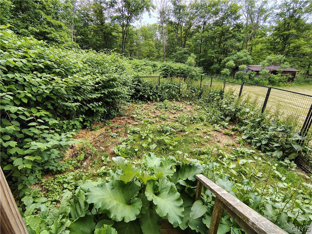 163 Creek Road Danube, NY 13365 - Photo 34 of 36
