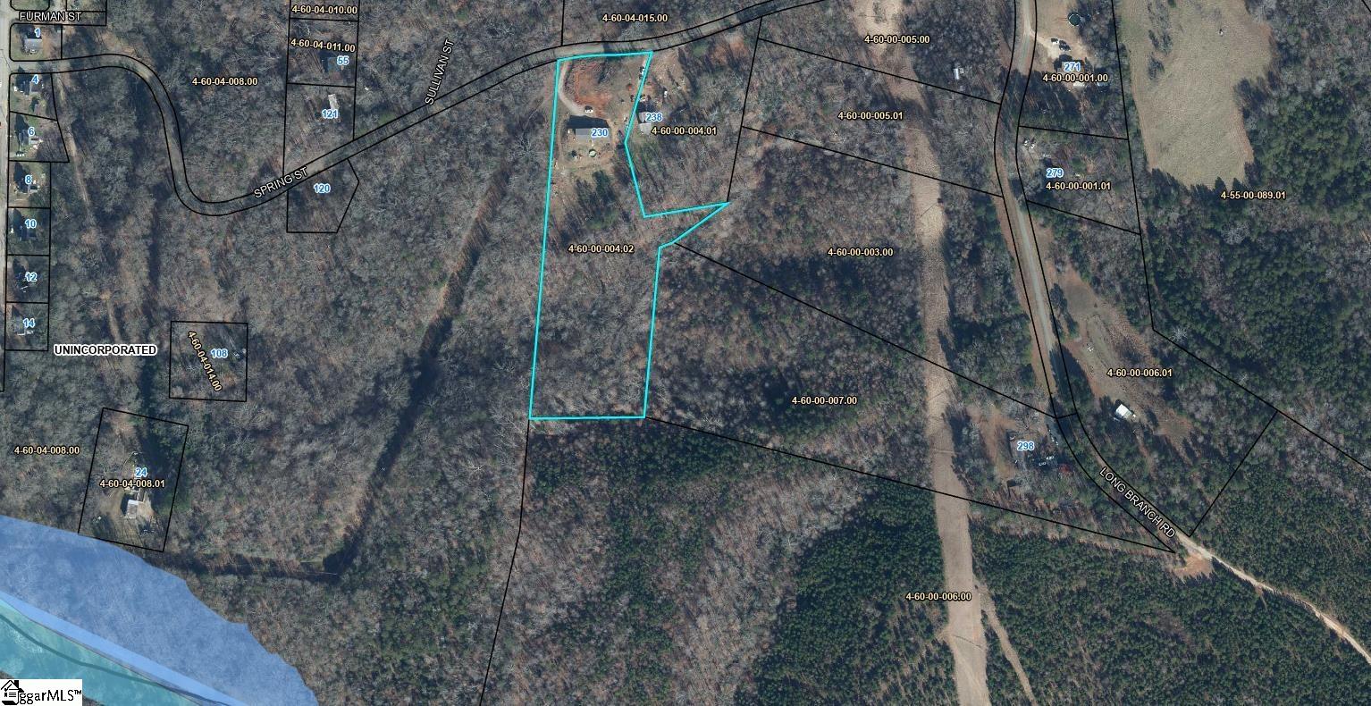 230 Spring Street Enoree, SC 29335 - Photo 42 of 42