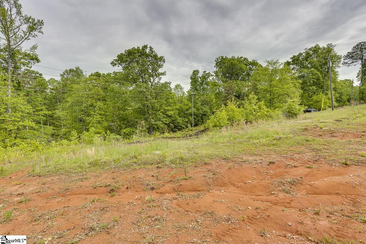 230 Spring Street Enoree, SC 29335 - Photo 8 of 42