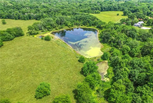 $1,950,000 | 14913 Outer Belt Extension, Lone Jack, MO 64070