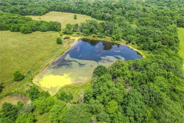 $1,950,000 | 14913 Outer Belt Extension, Lone Jack, MO 64070