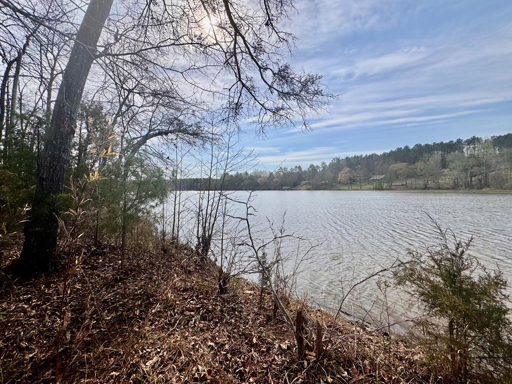 517 Terrapin Pointe Road Hodges, SC 29653 - Photo 26 of 29