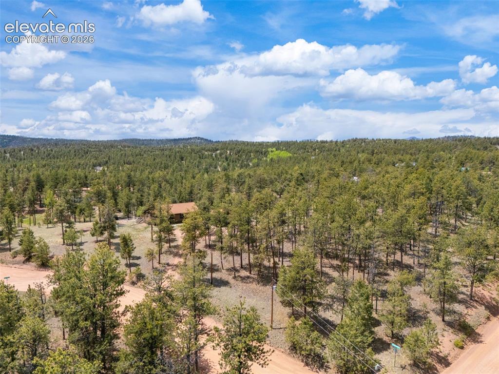 187 Thunder Ridge Road Florissant, CO 80816 - Photo 40 of 46