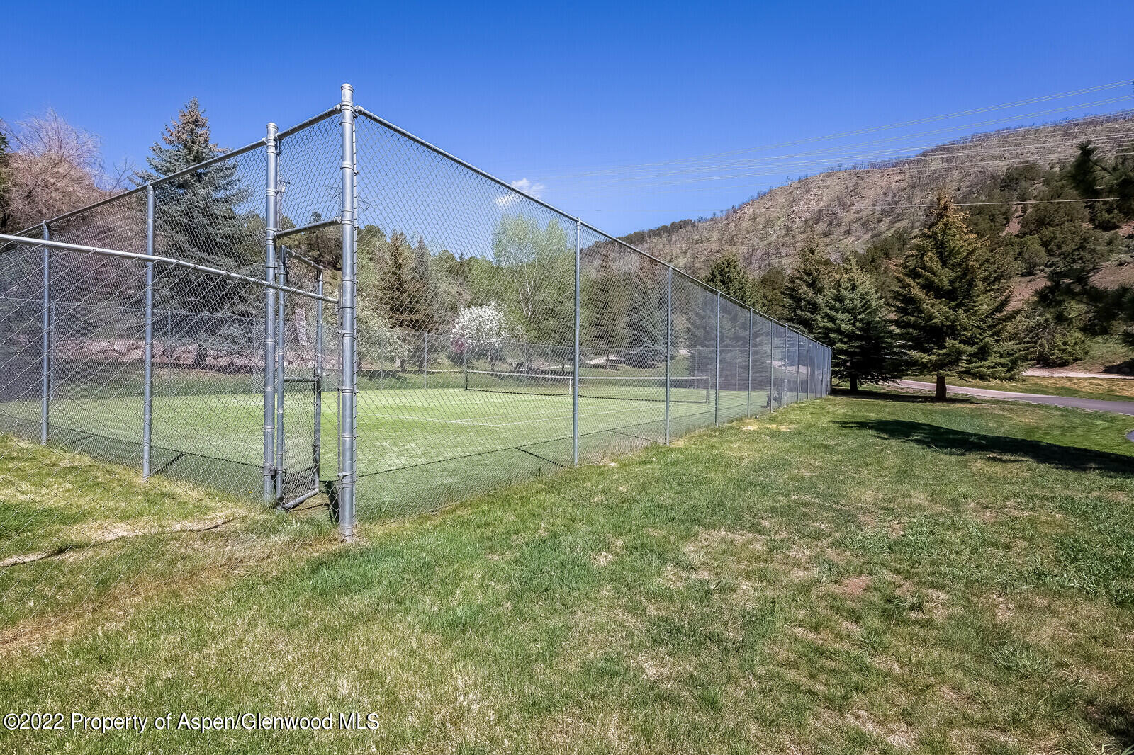 805 Pinon Drive, Unit 1 Basalt, CO 81621 - Photo 13 of 19 a backyard of a house with lots of green space and deers