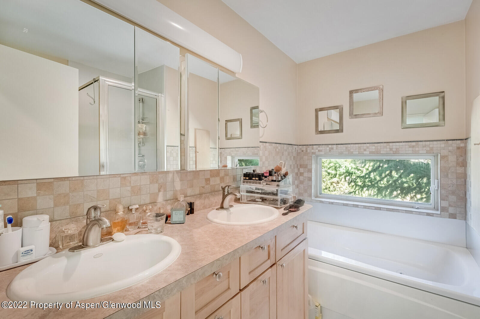 805 Pinon Drive, Unit 1 Basalt, CO 81621 - Photo 17 of 19 a bathroom with a sink and a bathtub