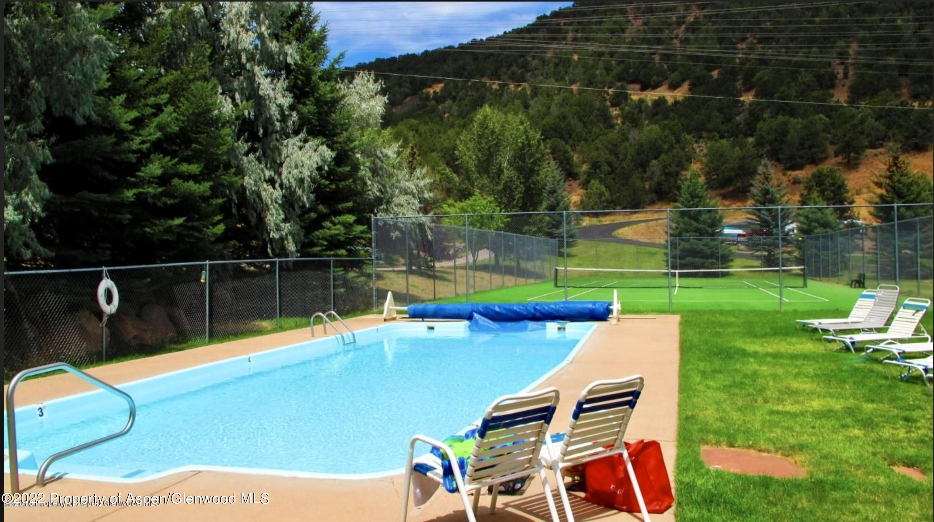 805 Pinon Drive, Unit 1 Basalt, CO 81621 - Photo 19 of 19 a view of a swimming pool with a chair and a big yard