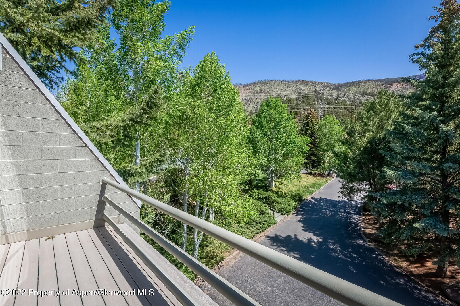805 Pinon Drive, Unit 1 Basalt, CO 81621 - Photo 8 of 19 a view of balcony with yard