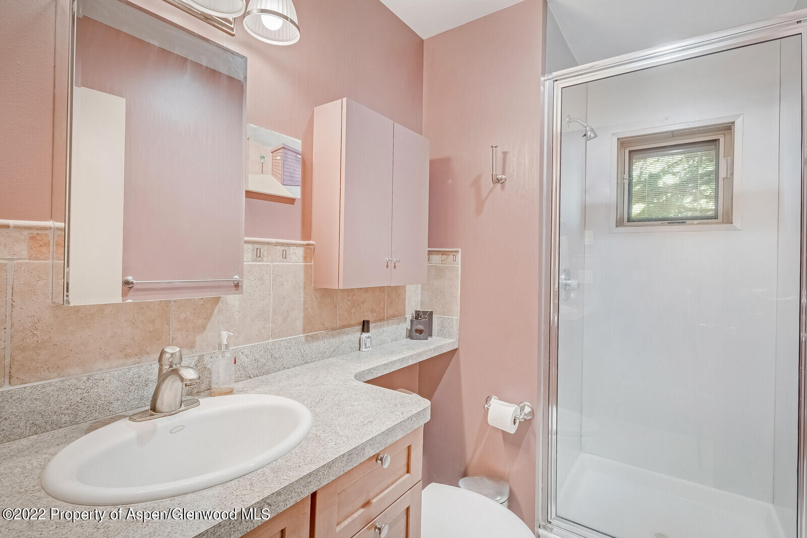 805 Pinon Drive, Unit 1 Basalt, CO 81621 - Photo 10 of 19 a bathroom with a sink toilet and shower