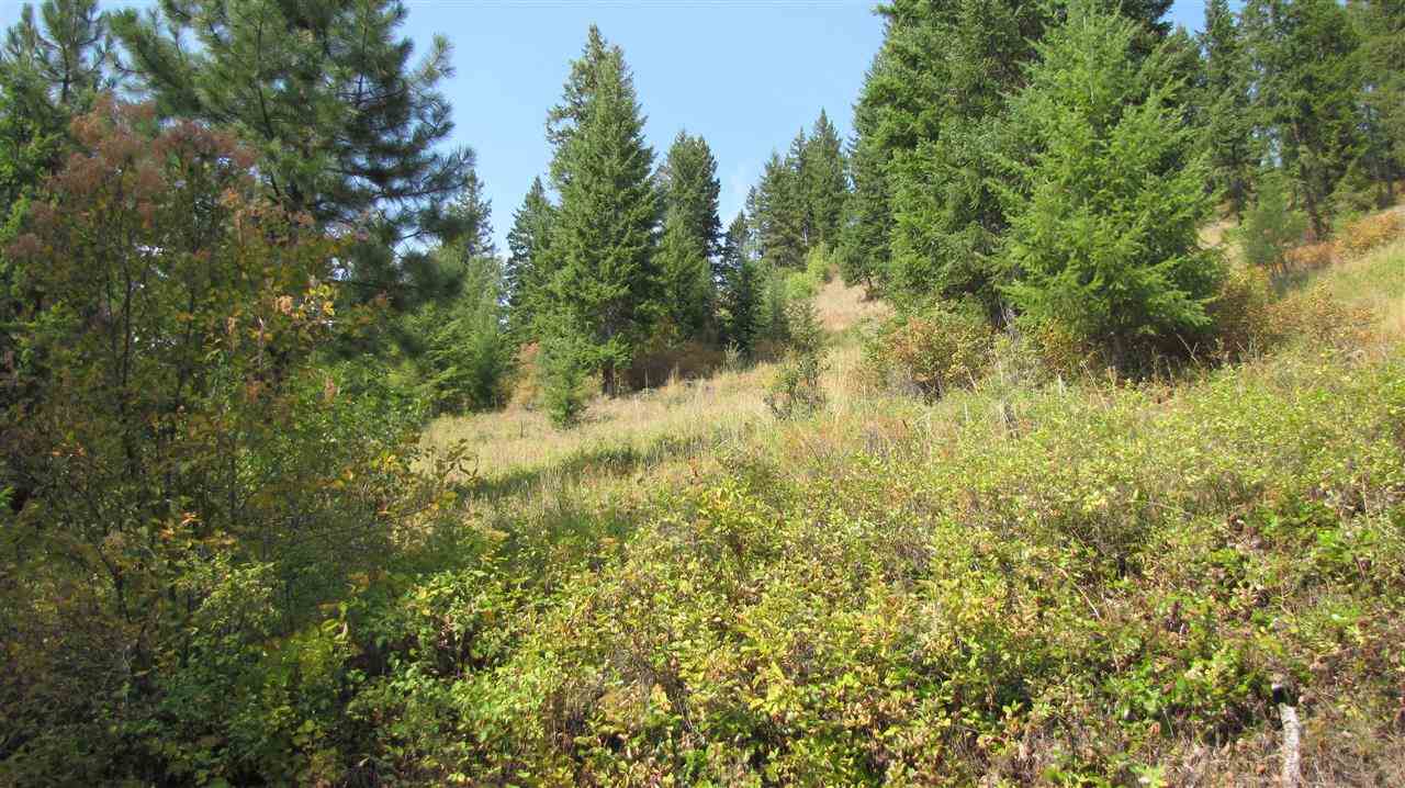 27-xxx Aladdin Road Colville, WA 99114 - Photo 11 of 19 Gallery Image 11