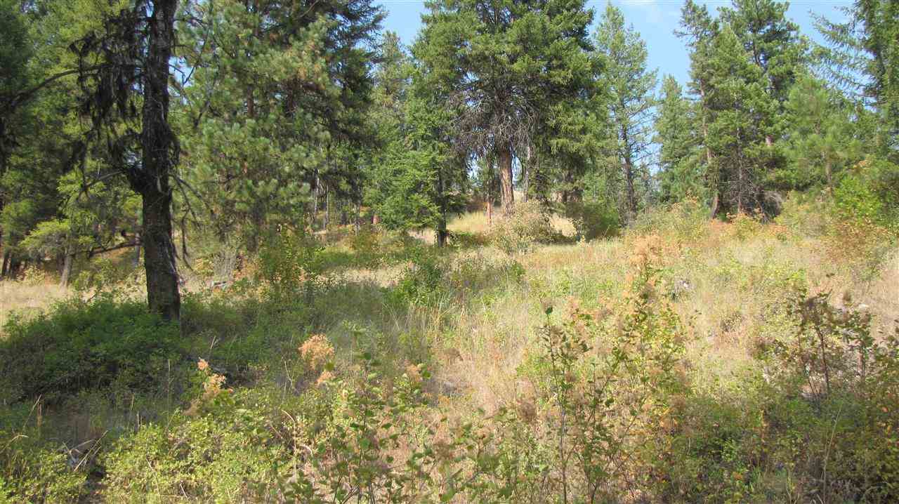 27-xxx Aladdin Road Colville, WA 99114 - Photo 13 of 19 Gallery Image 13