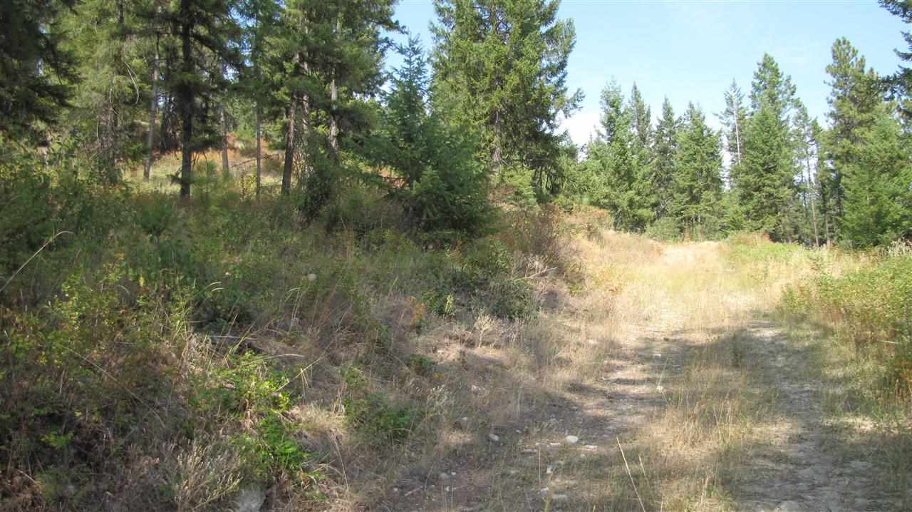 27-xxx Aladdin Road Colville, WA 99114 - Photo 14 of 19 Gallery Image 14