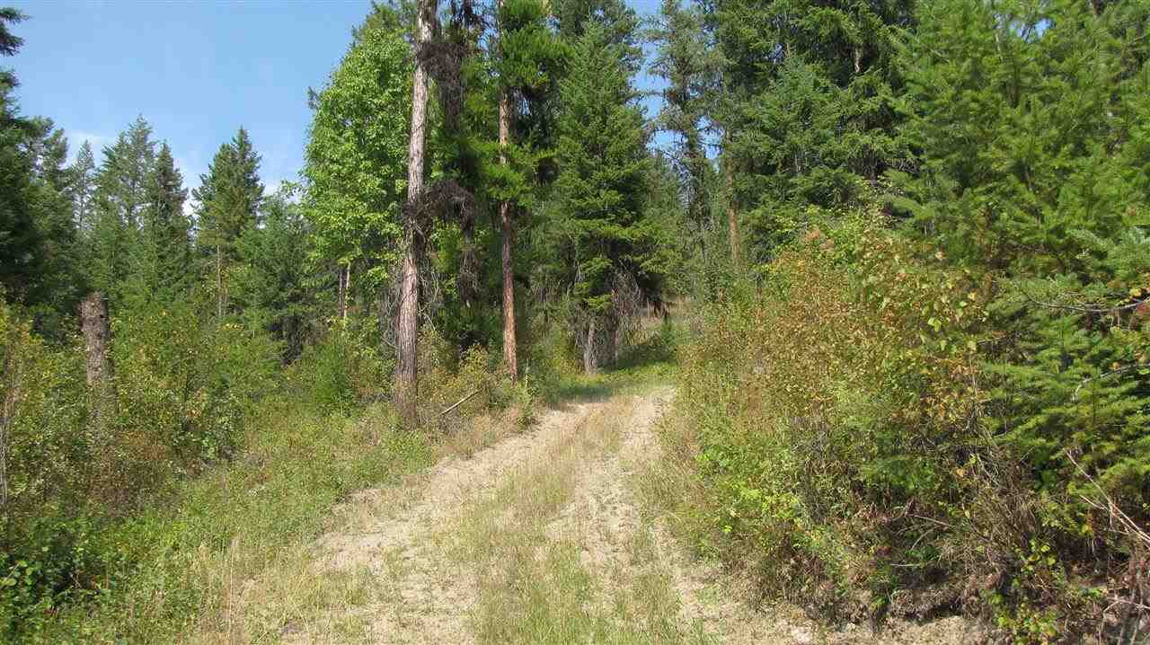 27-xxx Aladdin Road Colville, WA 99114 - Photo 3 of 19 Gallery Image 3