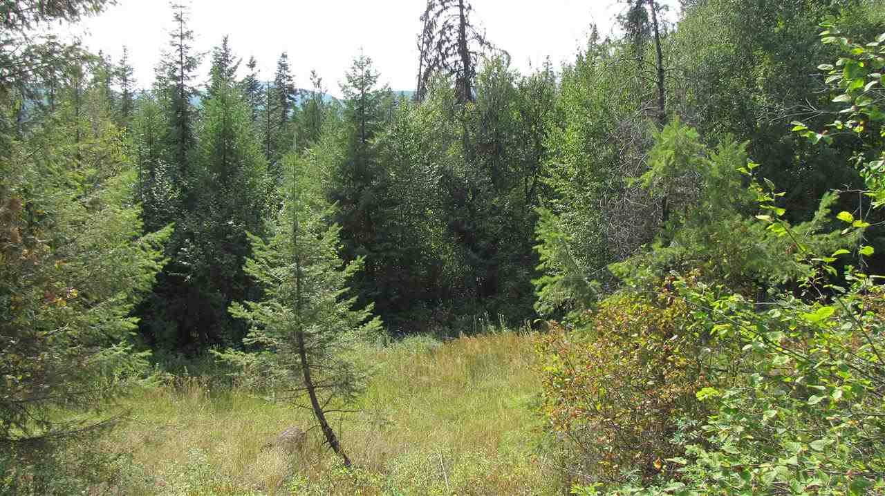 27-xxx Aladdin Road Colville, WA 99114 - Photo 4 of 19 Gallery Image 4