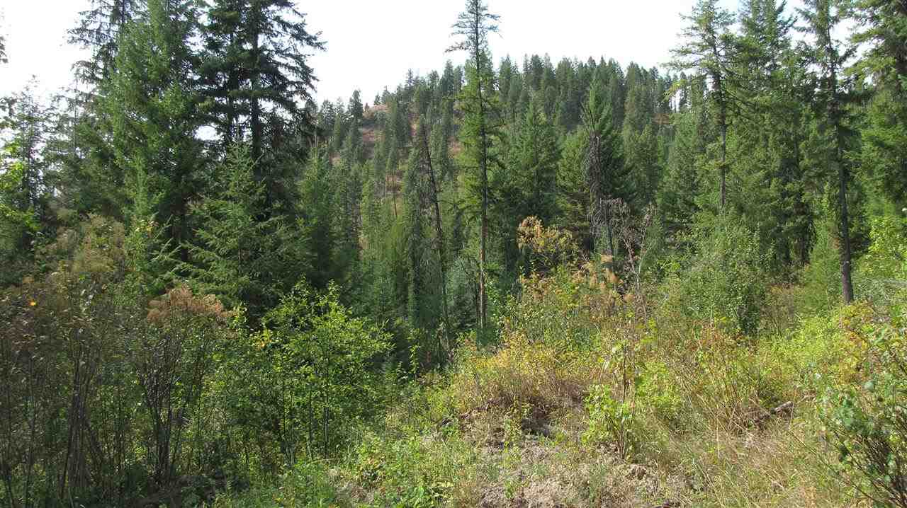 27-xxx Aladdin Road Colville, WA 99114 - Photo 5 of 19 Gallery Image 5