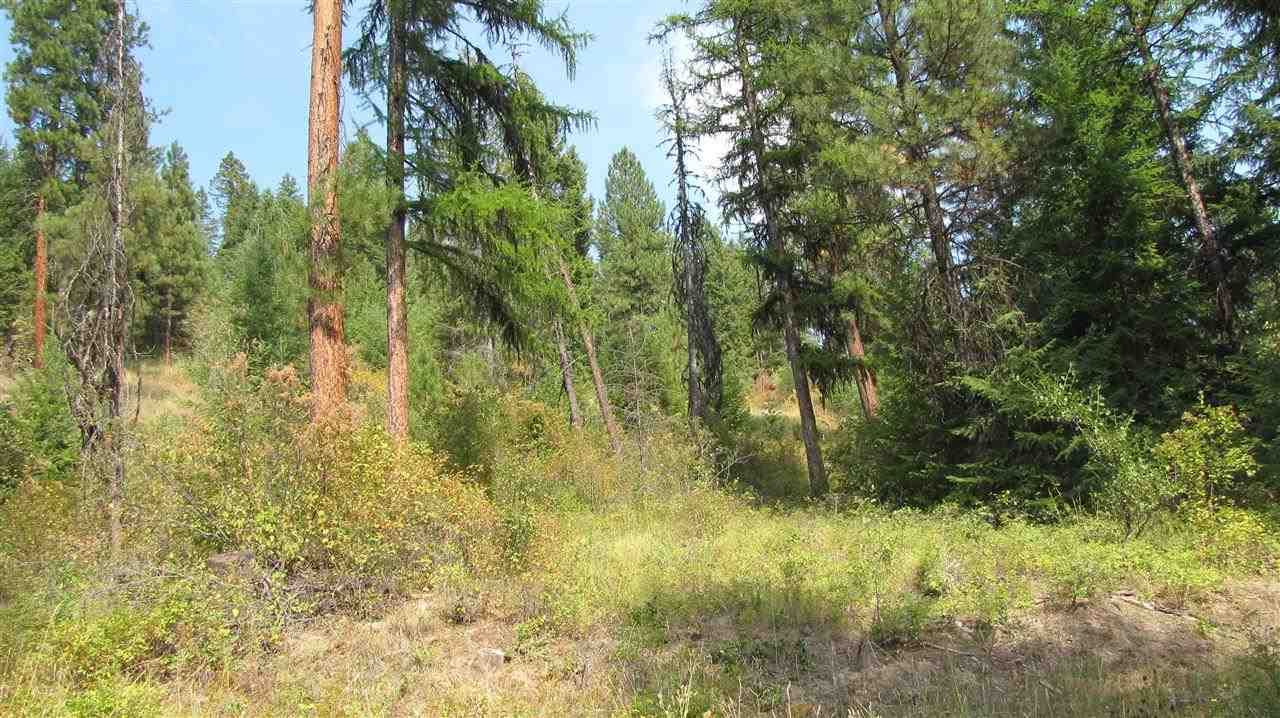 27-xxx Aladdin Road Colville, WA 99114 - Photo 6 of 19 Gallery Image 6