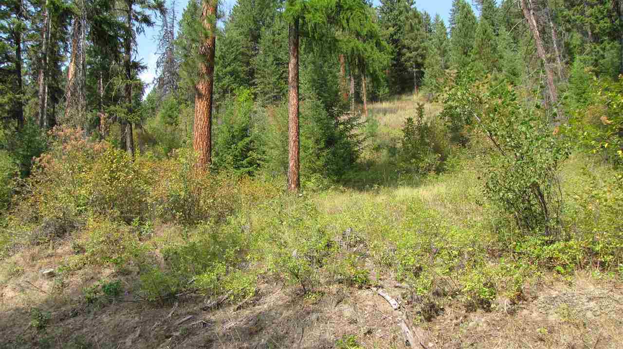 27-xxx Aladdin Road Colville, WA 99114 - Photo 8 of 19 Gallery Image 8