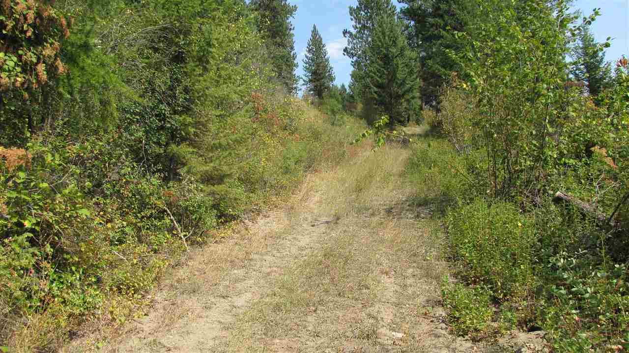27-xxx Aladdin Road Colville, WA 99114 - Photo 9 of 19 Gallery Image 9