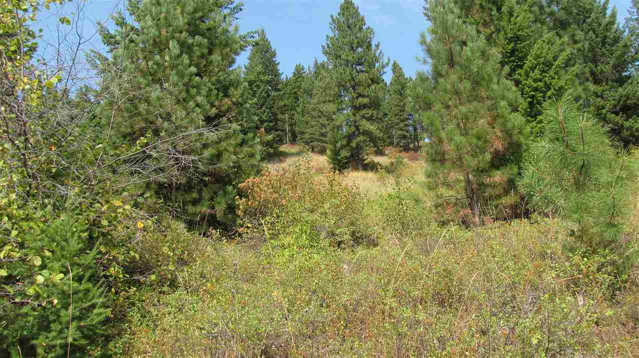 27-xxx Aladdin Road Colville, WA 99114 - Photo 10 of 19 Gallery Image 10