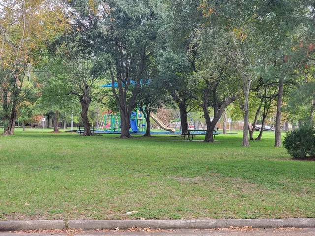 a view of a park with large trees