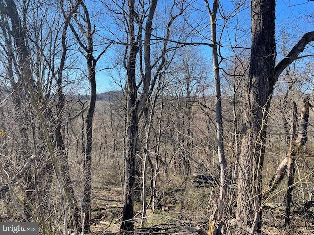 0 Rampike Hill Road Aspers, PA 17304 - Photo 3 of 7