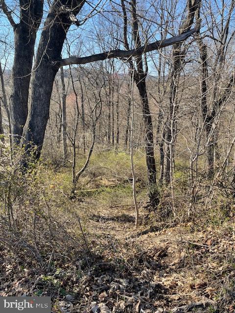 0 Rampike Hill Road Aspers, PA 17304 - Photo 4 of 7