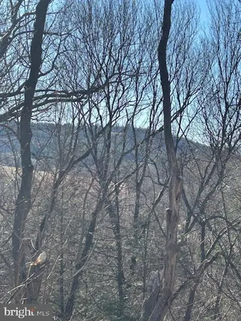 a view of house with a trees