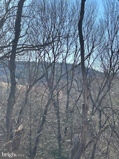 0 Rampike Hill Road Aspers, PA 17304 - Photo 5 of 7