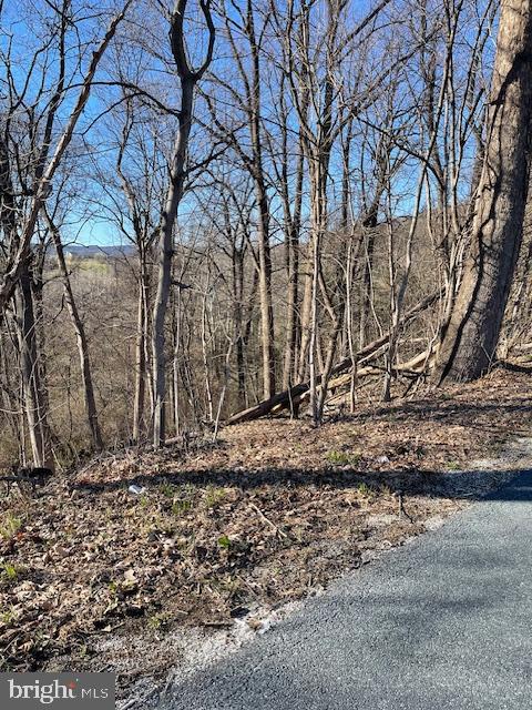 0 Rampike Hill Road Aspers, PA 17304 - Photo 6 of 7