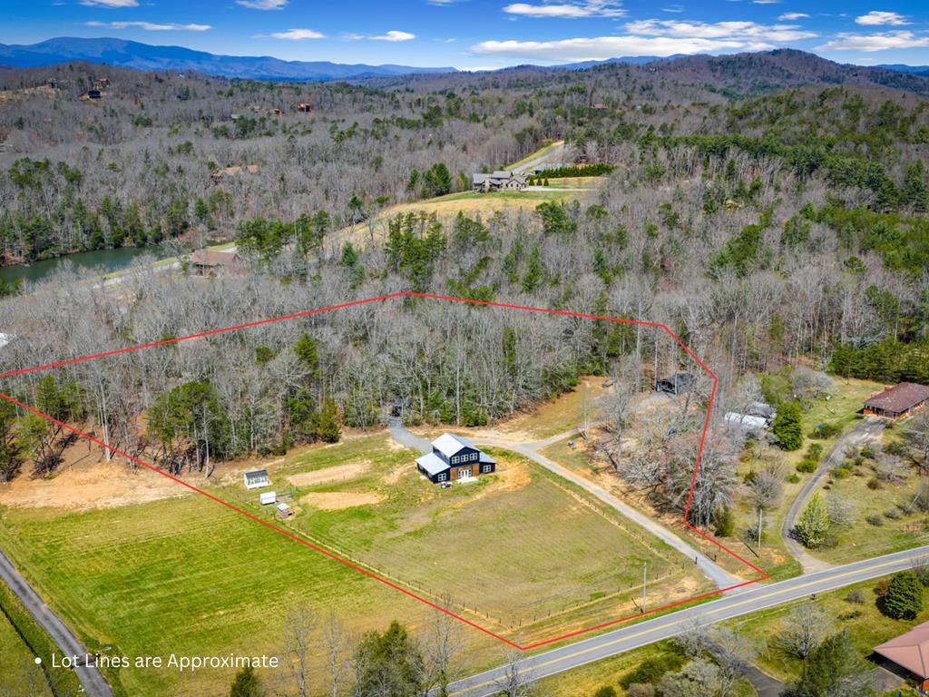 2954 Sugar Creek Road Blue Ridge, GA 30513 - Photo 3 of 89