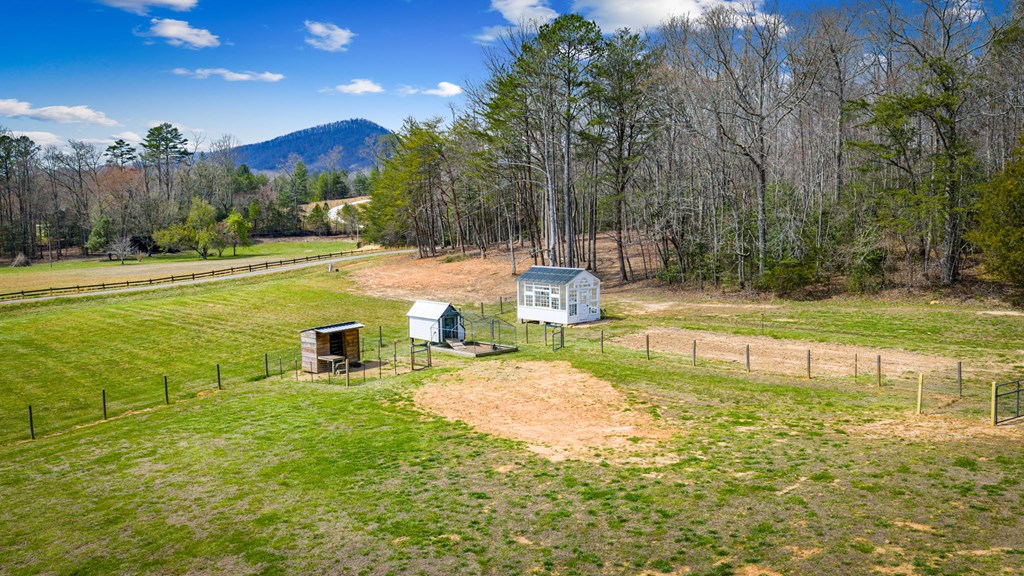 2954 Sugar Creek Road Blue Ridge, GA 30513 - Photo 6 of 89