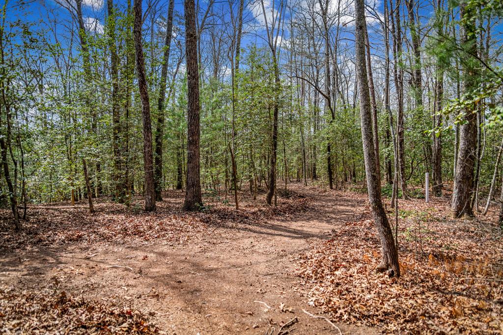 2954 Sugar Creek Road Blue Ridge, GA 30513 - Photo 83 of 89