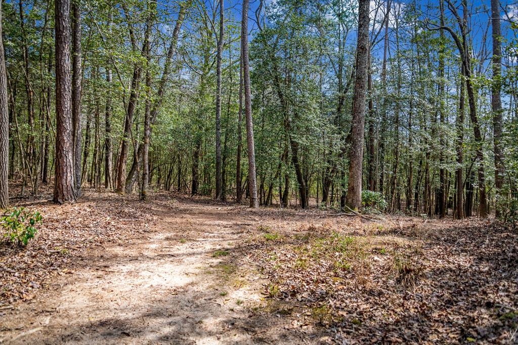 2954 Sugar Creek Road Blue Ridge, GA 30513 - Photo 84 of 89