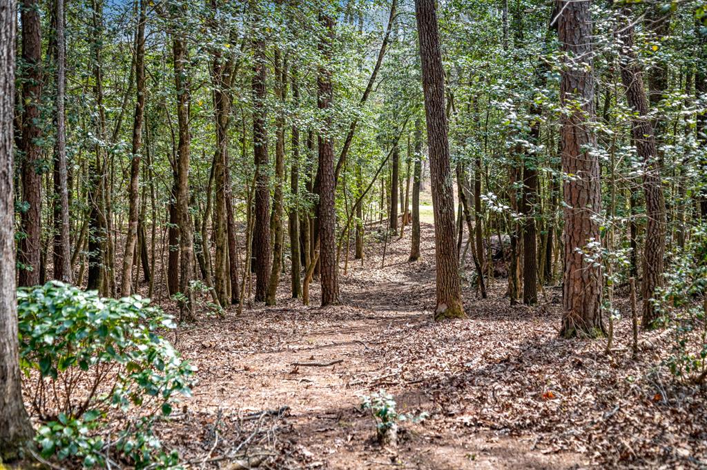 2954 Sugar Creek Road Blue Ridge, GA 30513 - Photo 85 of 89