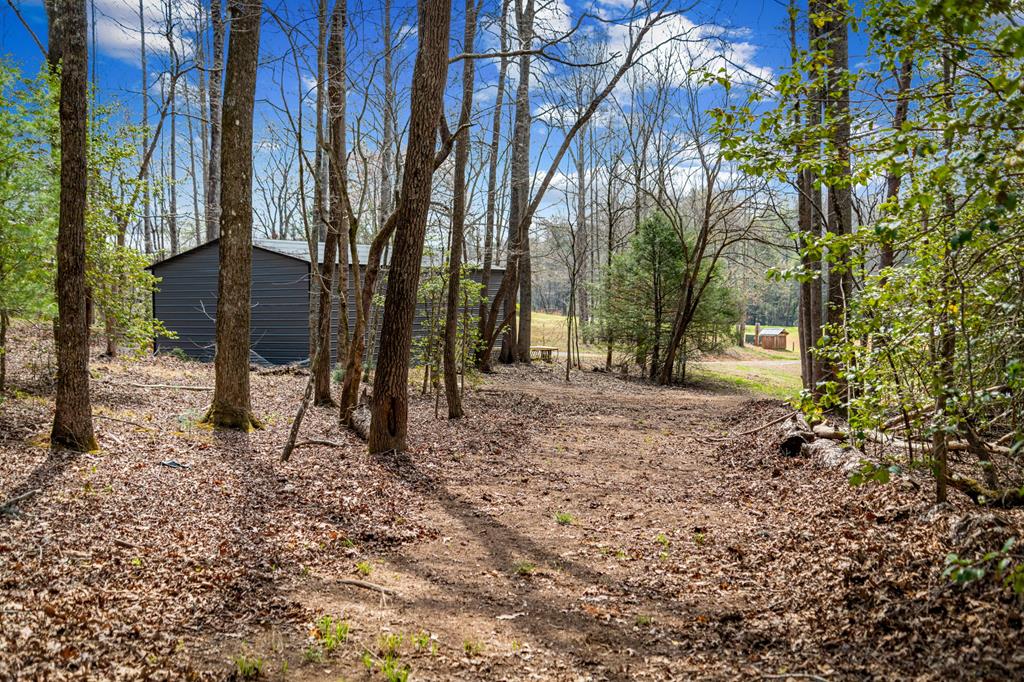 2954 Sugar Creek Road Blue Ridge, GA 30513 - Photo 86 of 89
