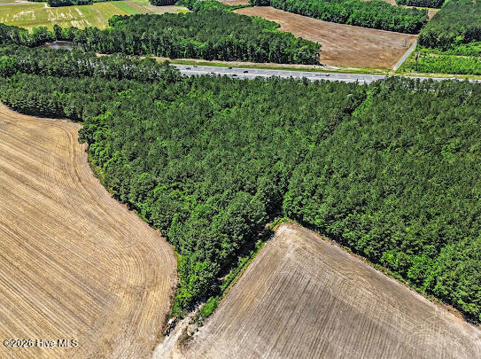 4.47-ac Purdy Matthews Road Wade, NC 28395 - Photo 10 of 25