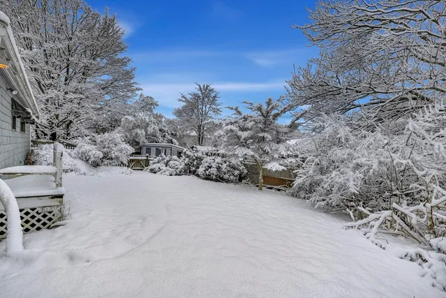 a view of outdoor space and trees