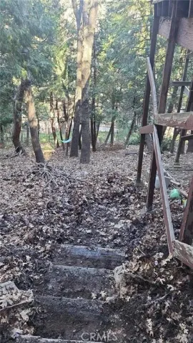 a view of a yard with a tree