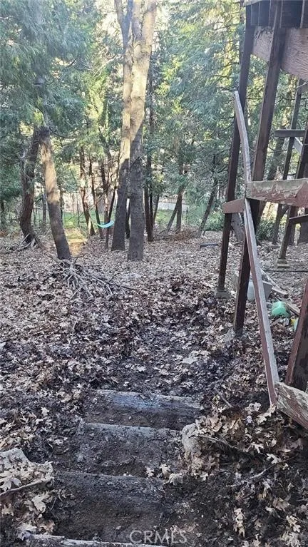 a view of a yard with a tree
