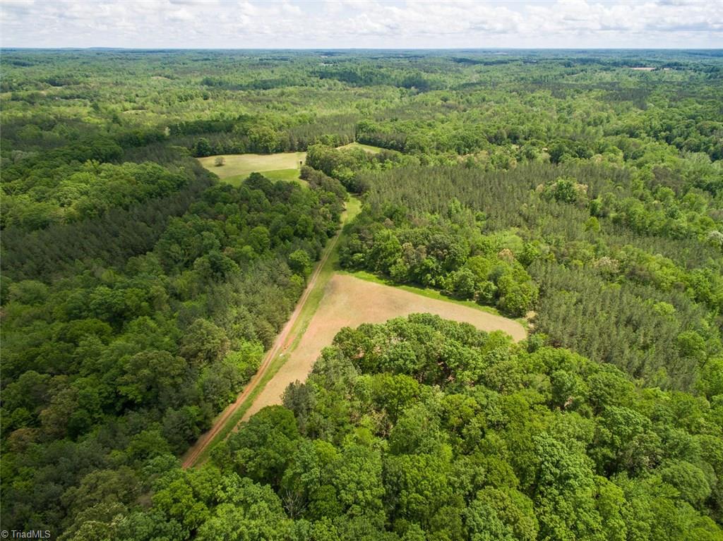 0 Greer Road Reidsville, NC 27320 - Photo 1 of 8 Gallery Image 1