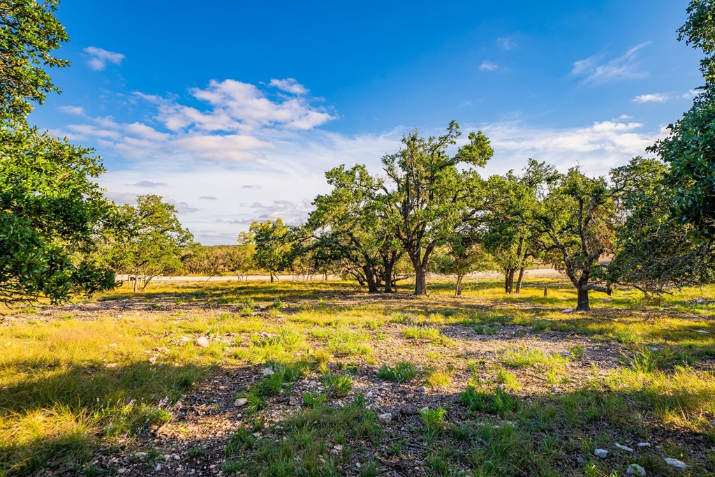 Lot 42 Reservation Road, Unit 42 Harper, TX 78631 - Photo 6 of 6 Gallery Image 6